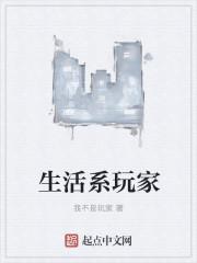 生活系玩家