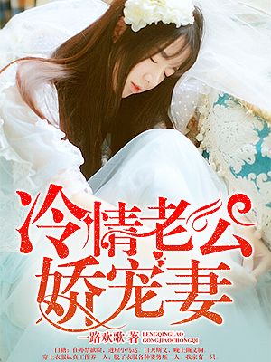 双宝归来爹地来负责