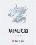 萧辰夏雨桐