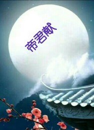 抗日之谍战上海滩