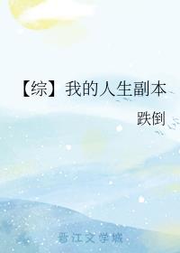 【综】我的人生副本