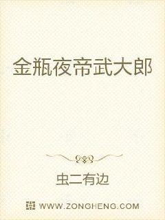 金瓶夜帝武大郎
