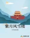 紫月风雪楼