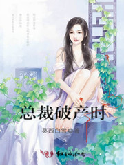 总裁破产时