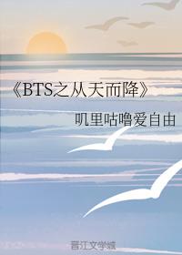 《BTS之从天而降