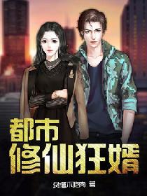 都市修仙狂婿